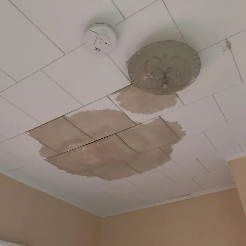 Ceiling Water Damage Repair in Choctaw Lake, OH