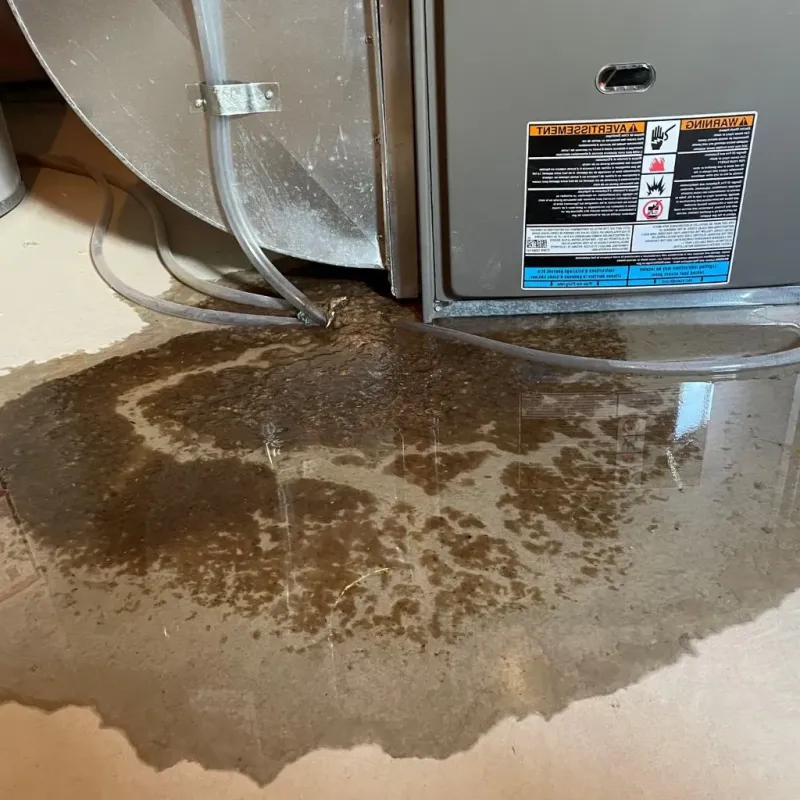 Pipe Burst and Leak Restoration in Choctaw Lake, OH