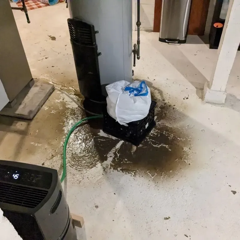 Sewage Backup Cleanup Service in Choctaw Lake, OH